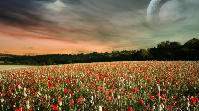 WebSocket 是什么原理?为什么可以实现持久连接?